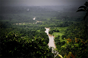 parque-estadual