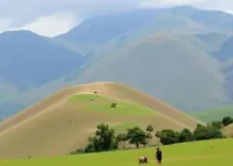 concursos abertos em Montes Claros