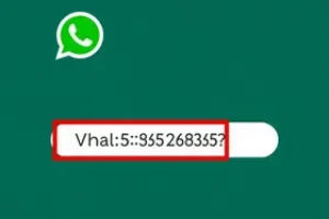 descobrir o nome pelo número do WhatsApp