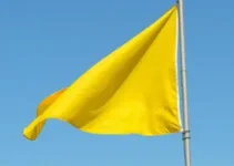 bandeira amarela