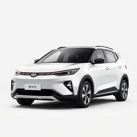desconto BYD Dolphin Mini