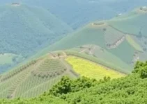 vagas abertas na Santanense
