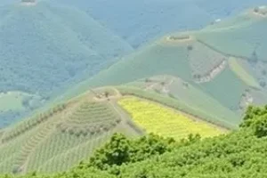 vagas abertas na Santanense