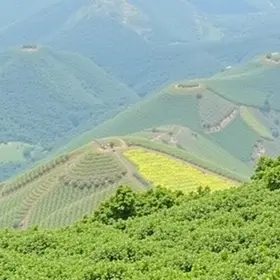 vagas abertas na Santanense