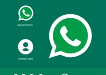 WhatsApp Ministério da Cidadania