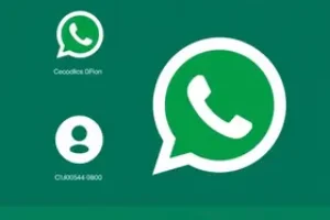 WhatsApp Ministério da Cidadania