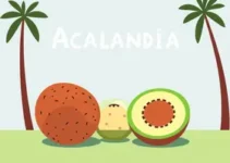 Concurso Prefeitura de Açailândia 2025