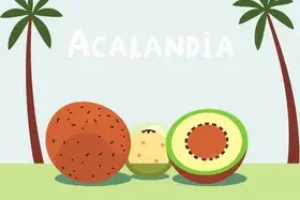 Concurso Prefeitura de Açailândia 2025