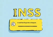 Meu INSS