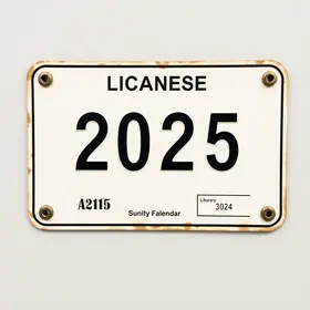 licenciamento 2025 placa final 9