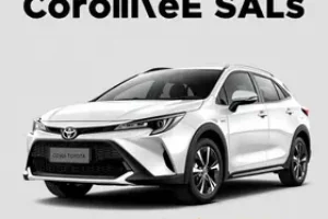 queima do Corolla Cross
