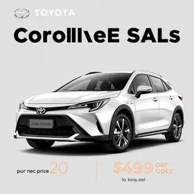 queima do Corolla Cross