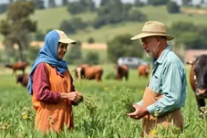autônomos e produtores rurais