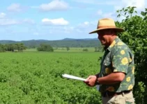 Cerrado em Pé