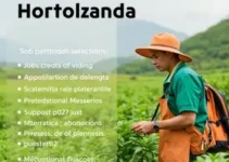 Hortolândia abre 725 vagas