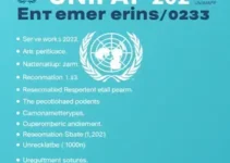 Vestibular UNIFAP 2025