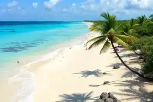 negociação de dívidas