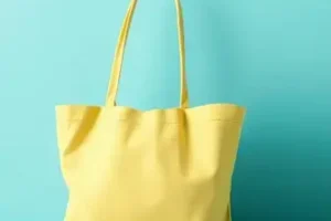 Bolsa Família e Tarifa Social