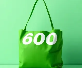 Bolsa Verde