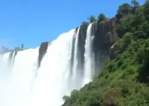 Detran Foz do Iguaçu