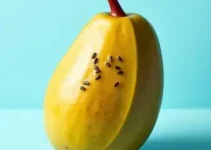 nomes para açaí