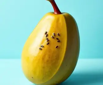 nomes para açaí