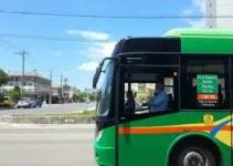 ônibus grátis