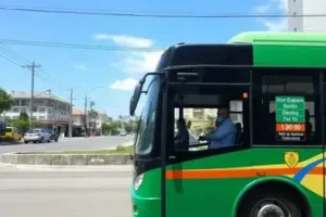 ônibus grátis