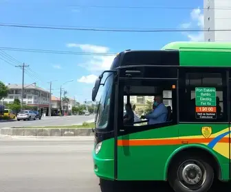 ônibus grátis